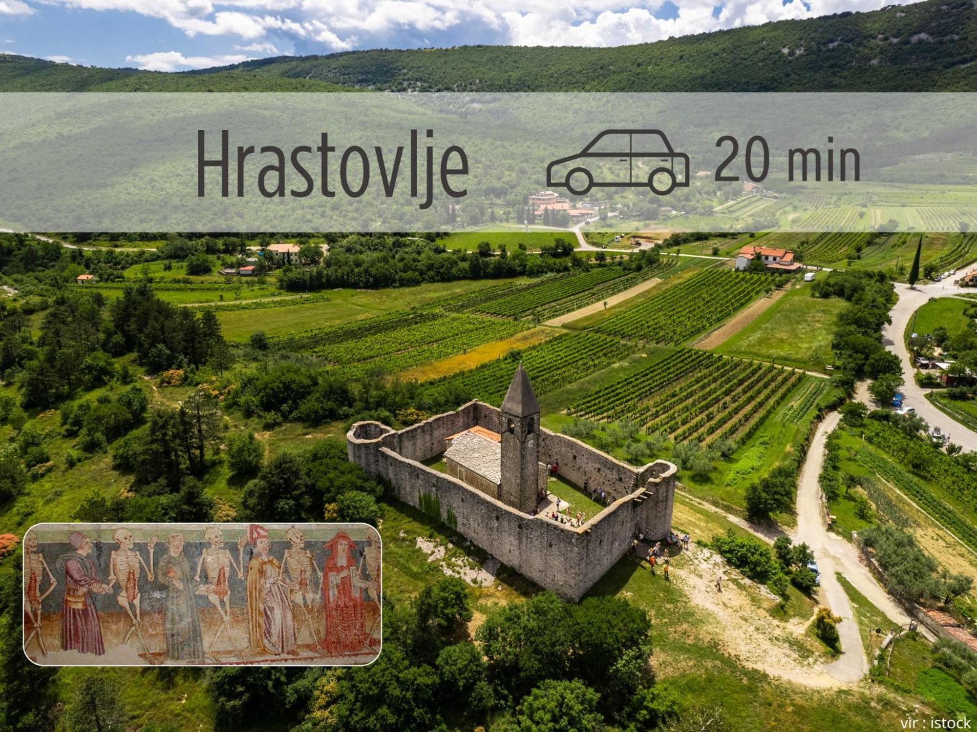 Casa Miranda - Family Comfort In A Quiet Area, Near The Sea, With Bbq And Free Parking Zgornje Skofije Exterior foto